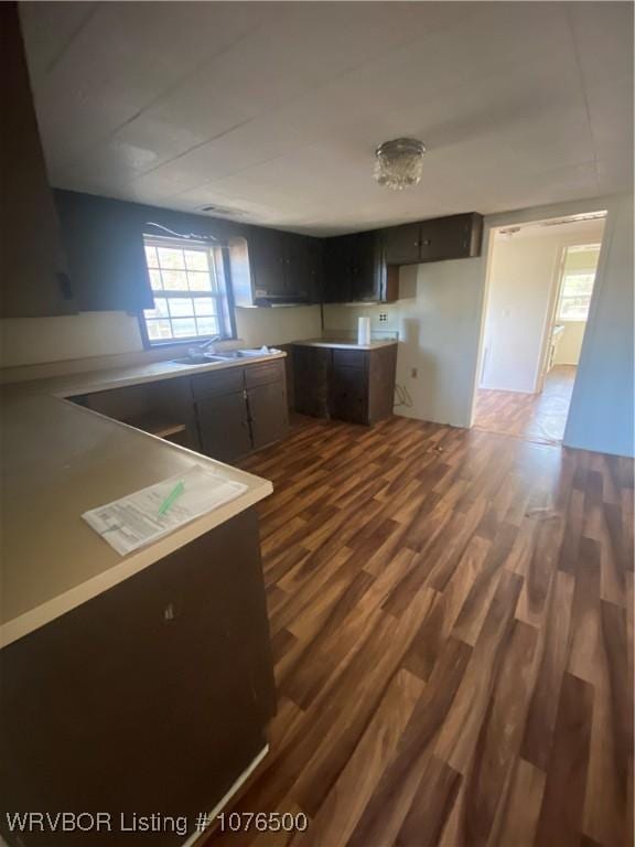 kitchen featuring dark hardwood / wood-style flooring and sink