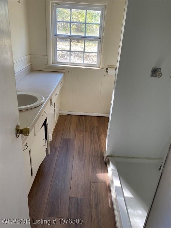 bathroom with hardwood / wood-style floors and vanity