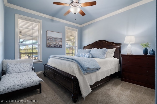 carpeted bedroom with multiple windows, ceiling fan, and ornamental molding