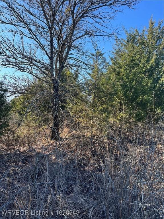 TRACT2 Ew 1430, Konawa, OK 74849