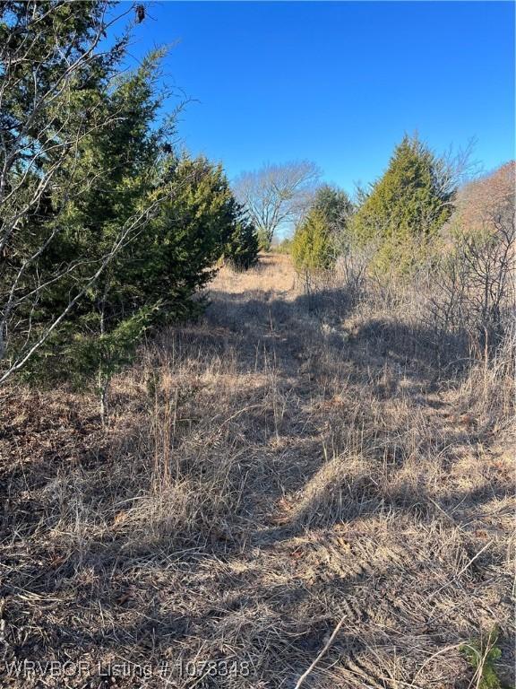 TRACT2 Ew 1430, Konawa, OK 74849