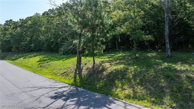 4913 Oak Hollow Dr, Fort Smith, AR 72903 - photo 9