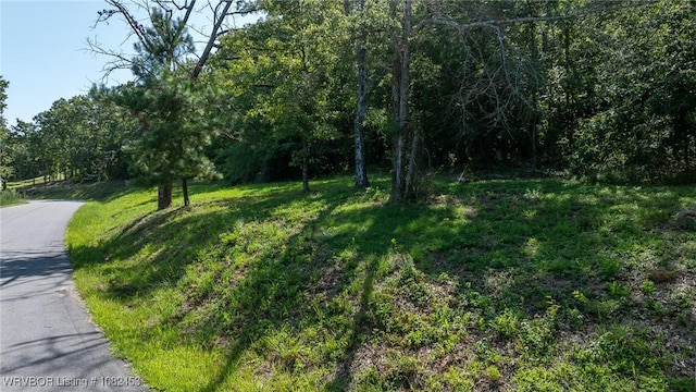 4913 Oak Hollow Dr, Fort Smith, AR 72903 - photo 42