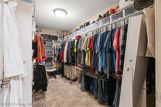 2110 Parkway Cir, Van Buren, AR 72956 - walk in closet with light carpet