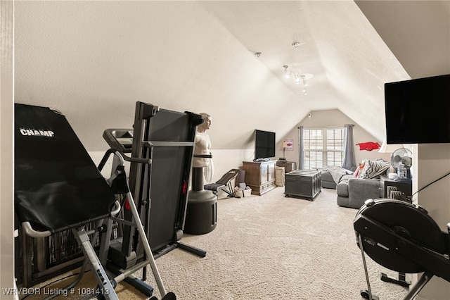 2110 Parkway Cir, Van Buren, AR 72956 - workout room featuring lofted ceiling and carpet flooring