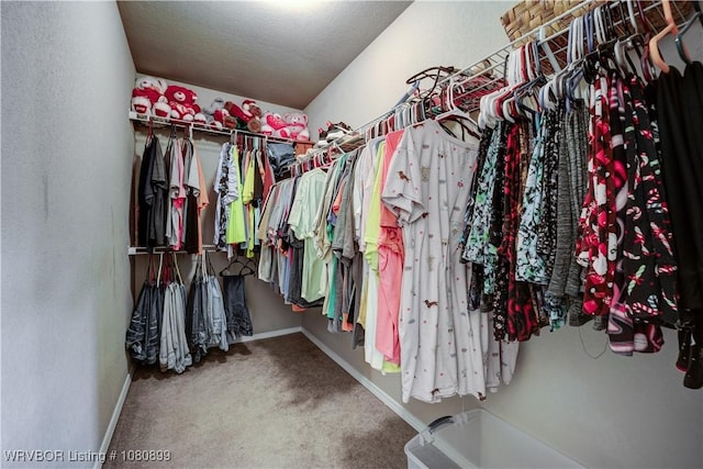 2005 Scarlet Oak Dr, Van Buren, AR 72956 - walk in closet with carpet