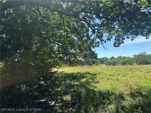 20501 Old Pike Rd, Howe, OK 74940 - photo 15