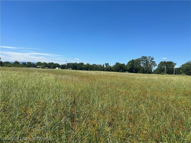 20501 Old Pike Rd, Howe, OK 74940 - photo 13