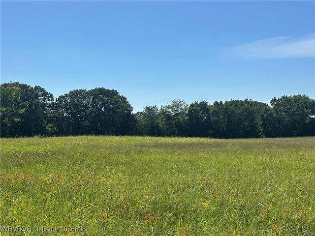 20501 Old Pike Rd, Howe, OK 74940 - photo 22