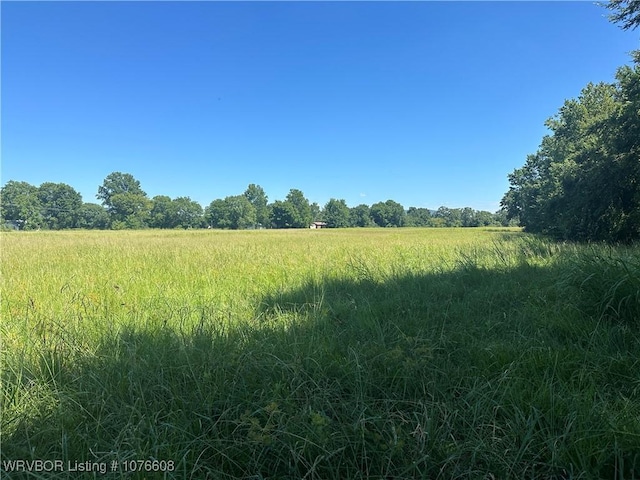 20501 Old Pike Rd, Howe, OK 74940 - photo 10