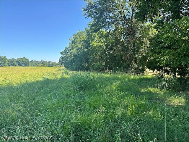 20501 Old Pike Rd, Howe, OK 74940 - photo 9