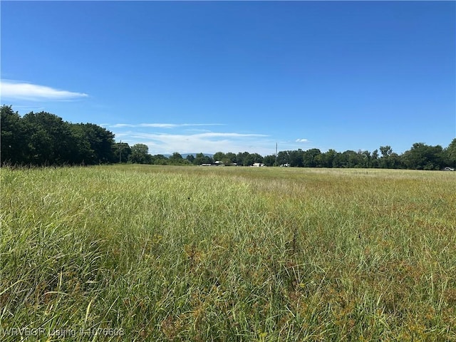 20501 Old Pike Rd, Howe, OK 74940 - photo 12