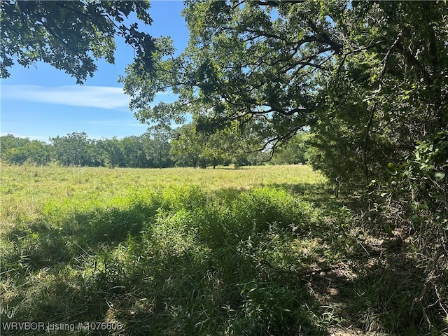 20501 Old Pike Rd, Howe, OK 74940 - photo 14