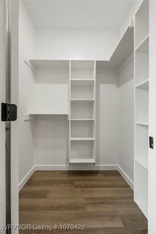 walk in closet featuring dark wood-type flooring