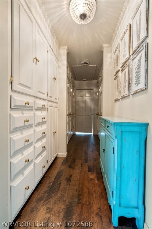 corridor featuring dark wood-type flooring and ornamental molding