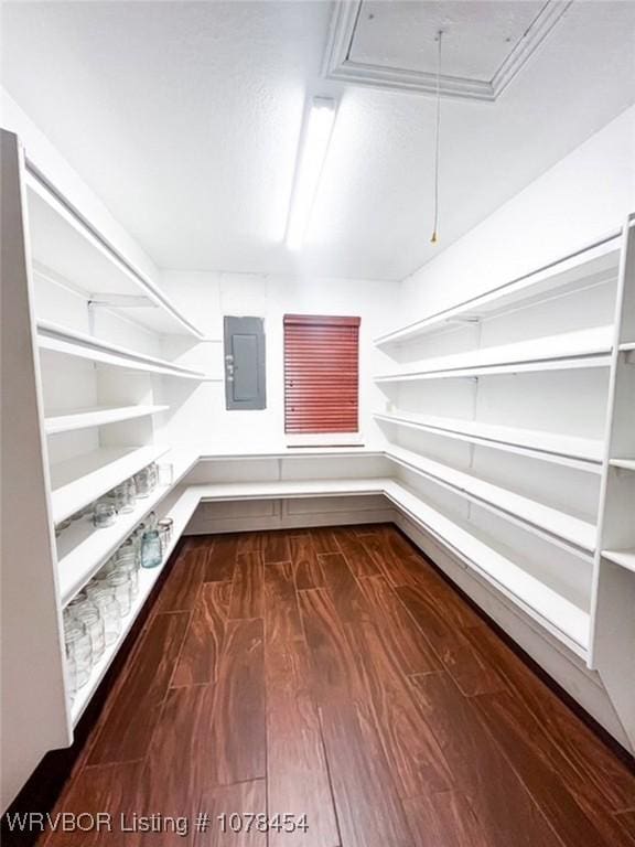 walk in closet featuring electric panel