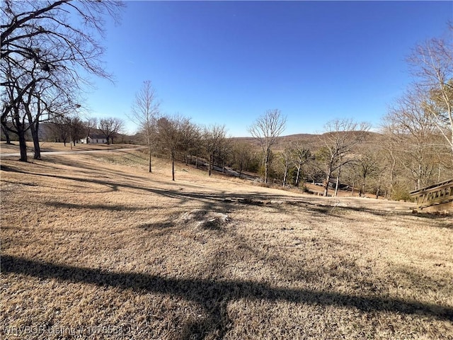 view of yard featuring a rural view