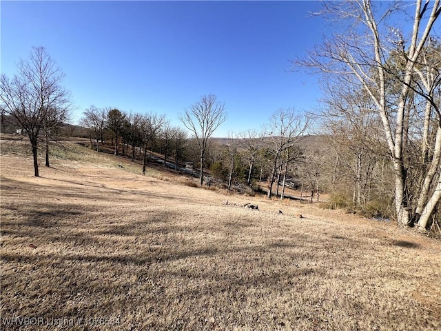 view of yard with a rural view