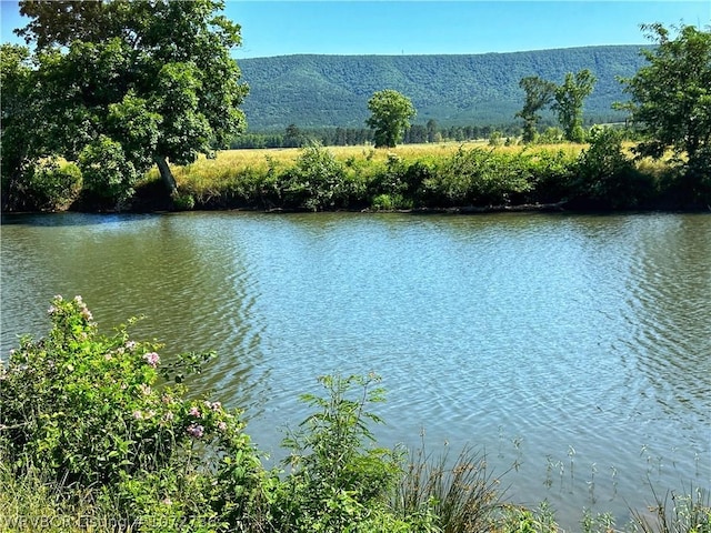 view of water feature with a mountain view