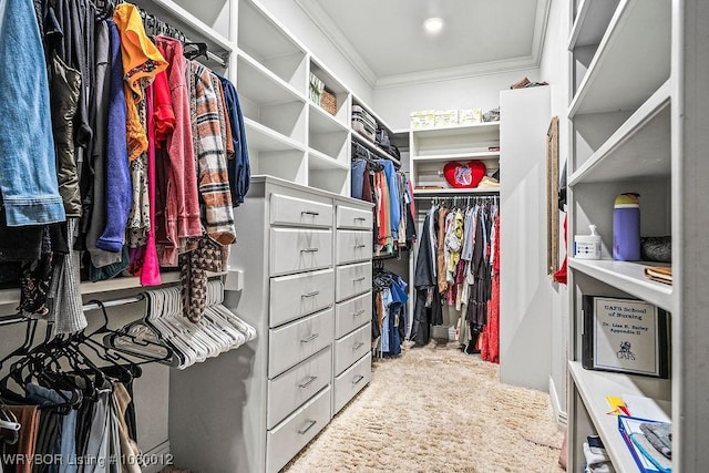 8200 Mile Tree Dr, Fort Smith, AR 72903 - spacious closet with carpet