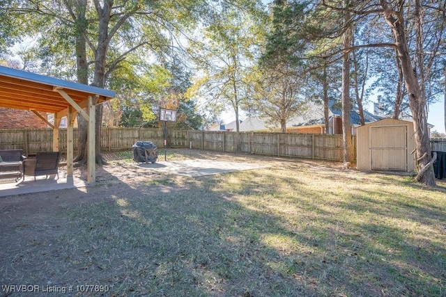 view of yard featuring a patio area and a storage unit