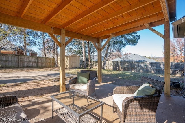 view of patio / terrace featuring a storage shed