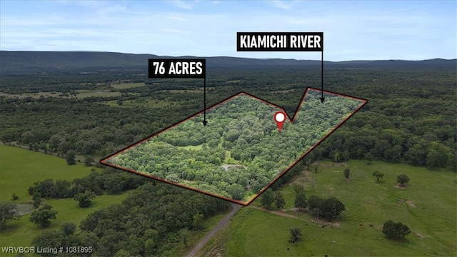 161129 N 4550th Rd, Talihina, OK 74571 - view of property location with a forest and property boundaries highlighted