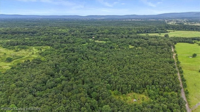 161129 N 4550th Rd, Talihina, OK 74571 - drone / aerial view of a heavily wooded area