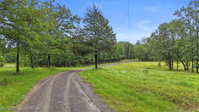 161129 N 4550th Rd, Talihina, OK 74571 - view of dirt / gravel road with a view of trees