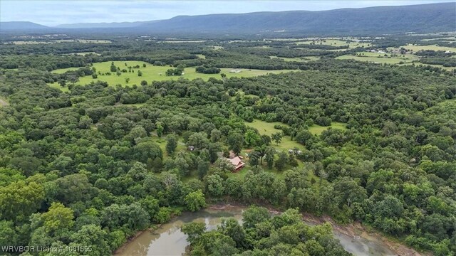 161129 N 4550th Rd, Talihina, OK 74571 - aerial view of property's location with a mountain backdrop