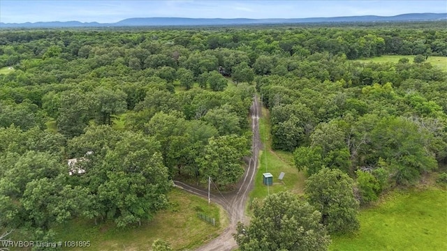 161129 N 4550th Rd, Talihina, OK 74571 - view of property location with a heavily wooded area