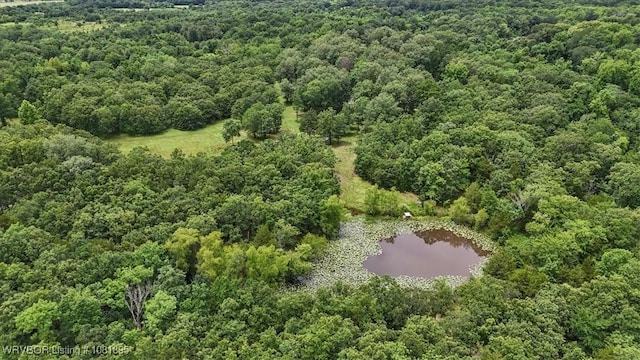 161129 N 4550th Rd, Talihina, OK 74571 - bird's eye view of a nearby body of water and a forest