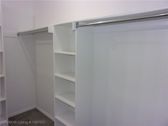 818 N 3rd St, Ozark, AR 72949 - view of spacious closet