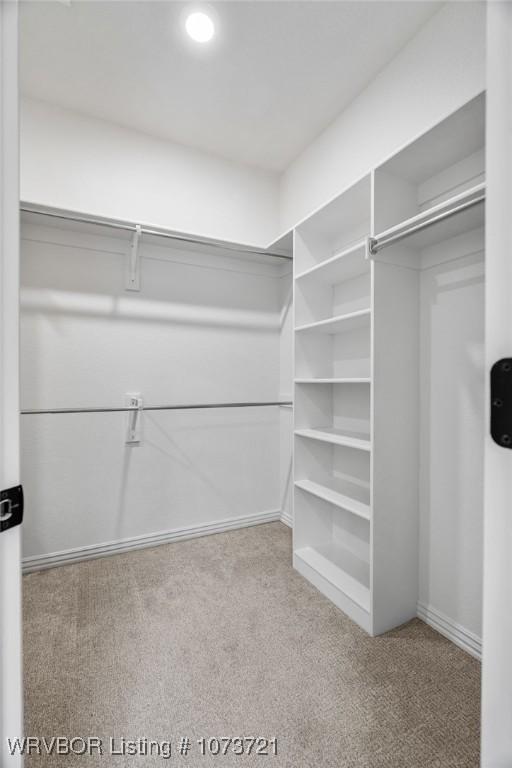 walk in closet with light colored carpet