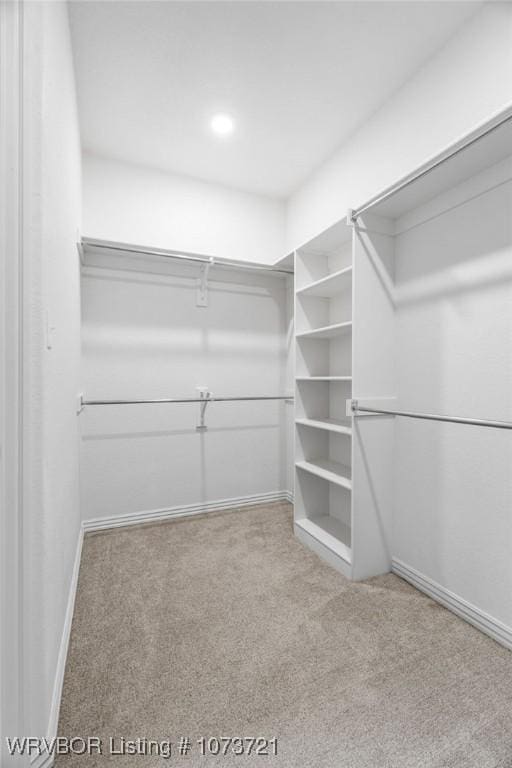 walk in closet featuring light colored carpet