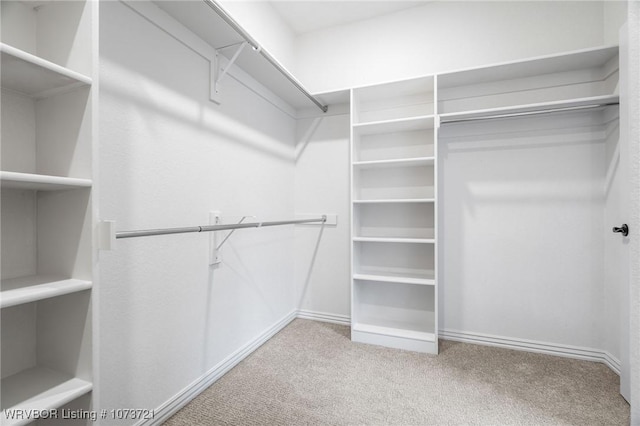 spacious closet featuring light carpet