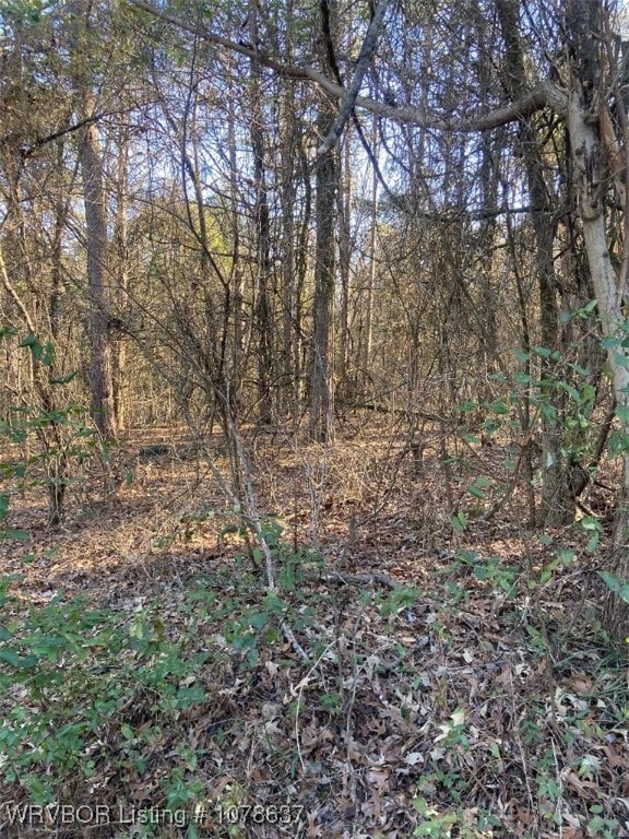 805 Cherokee Trl, Ozark AR, 72949 land for sale