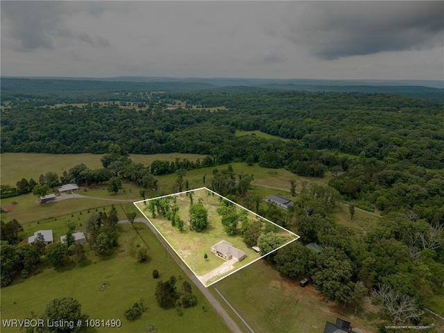 8601 Corona Ct, Uniontown, AR 72955 - view of rural area with property boundaries highlighted and a forest