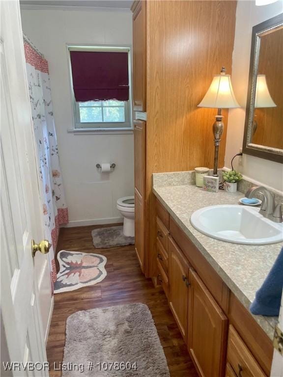 bathroom featuring a shower with curtain, wood-type flooring, toilet, and vanity