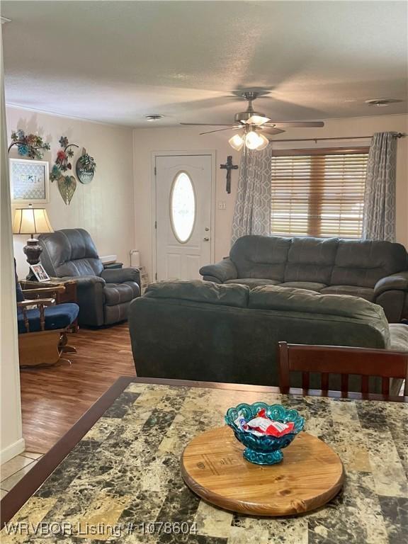 living room with ceiling fan, wood-type flooring, and a healthy amount of sunlight