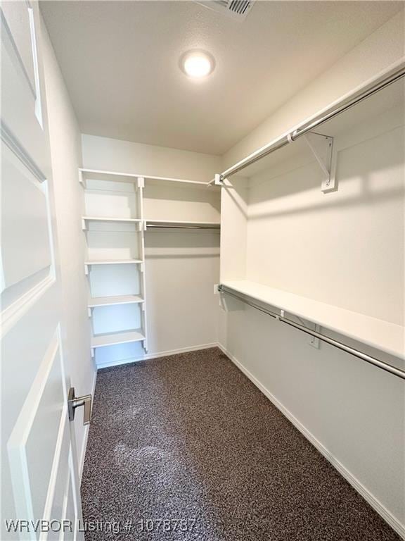 spacious closet featuring carpet floors