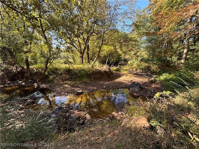 view of local wilderness