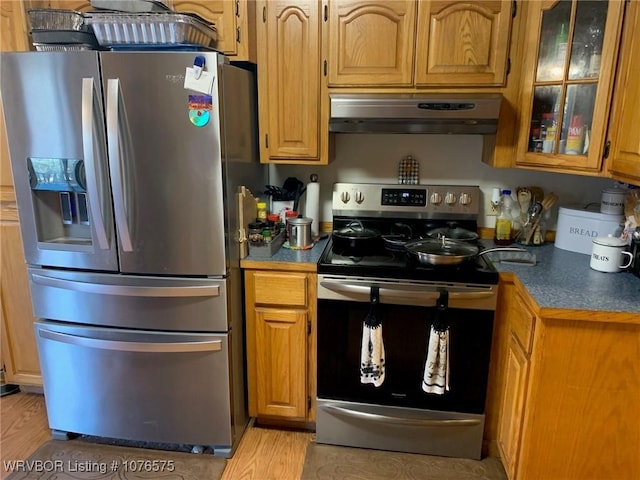 kitchen featuring light hardwood / wood-style floors, stainless steel appliances, and extractor fan