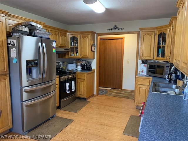 kitchen featuring sink, light hardwood / wood-style flooring, and appliances with stainless steel finishes