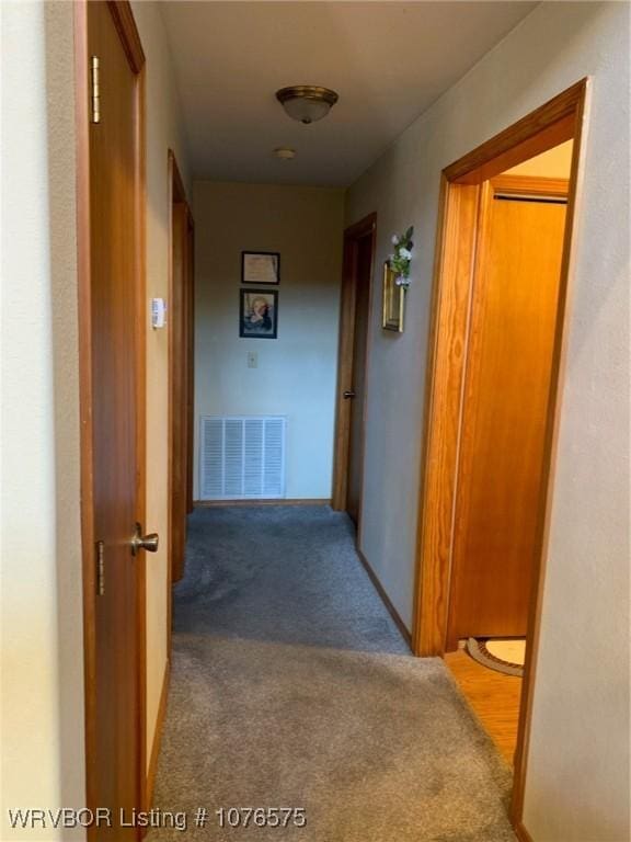 hallway with carpet floors