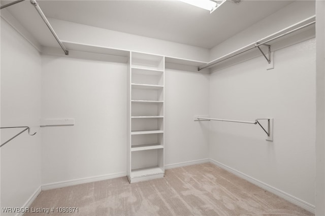 walk in closet featuring carpet floors