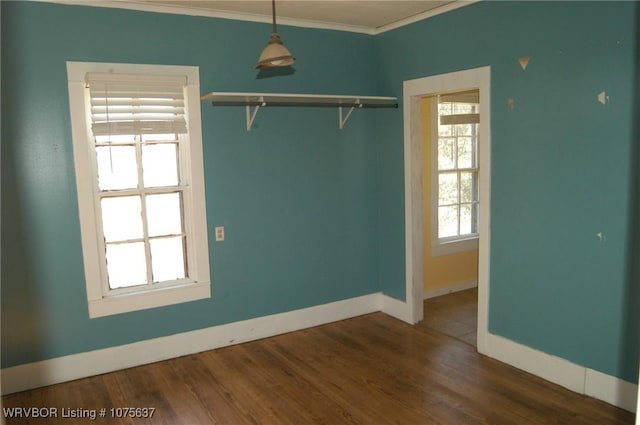 spare room with crown molding, a healthy amount of sunlight, and dark hardwood / wood-style floors