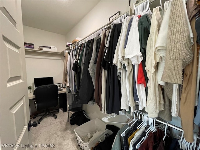 9121 Wayne Xing, Fort Smith, AR 72916 - spacious closet with carpet floors