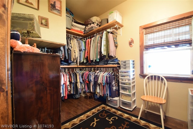 walk in closet with dark wood-type flooring