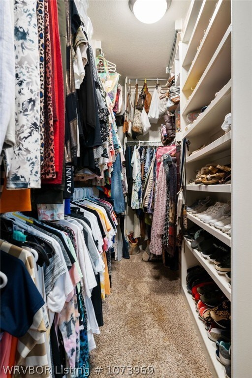 walk in closet with carpet flooring